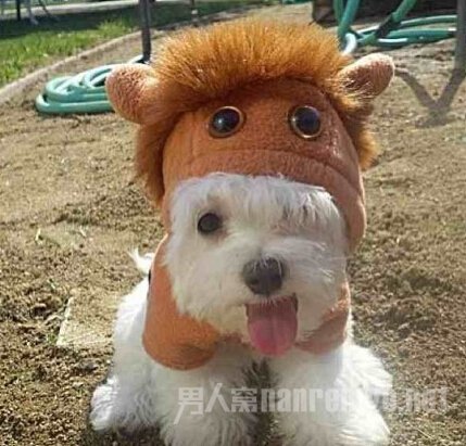 Сţ·Ŷ