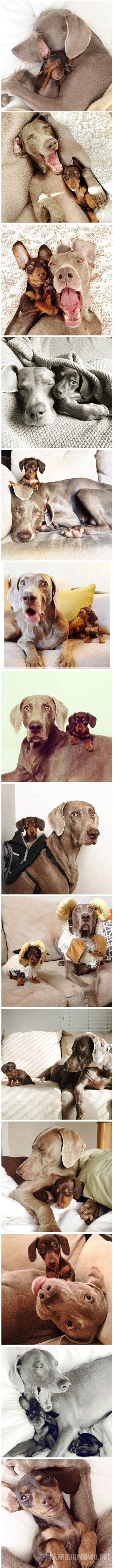 我们要做一辈子的Best friends 