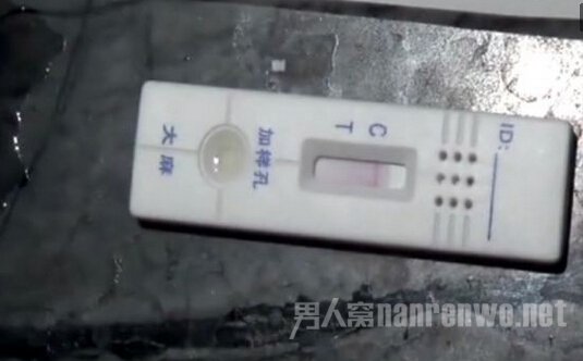 高虎吸毒被抓的审讯过程 张纪中：不像会吸毒的人啊！