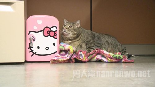 è衱