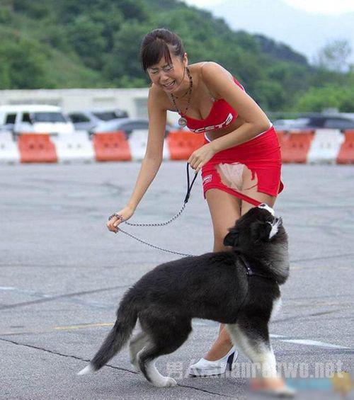 全能爆笑狗狗图片锦集