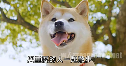 ȮСѩ