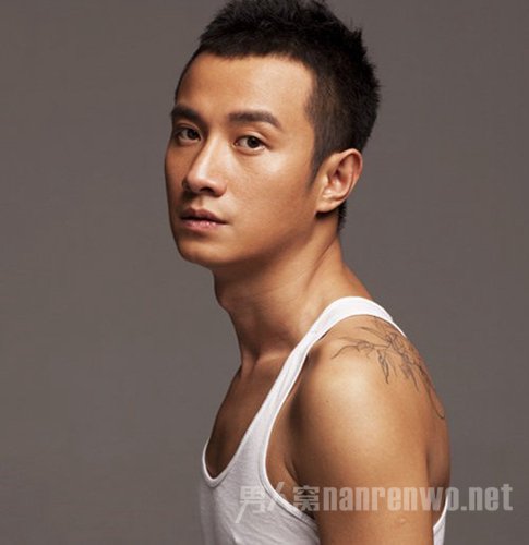 文章个人资料 文章个人资料