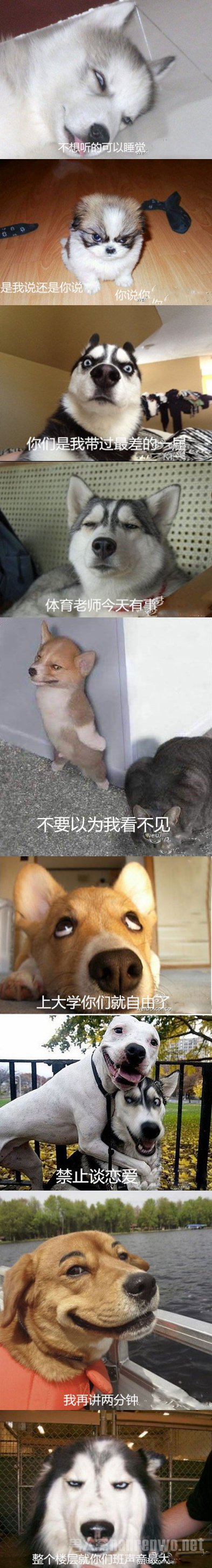 开学了，亲爱的老师9大著名语录