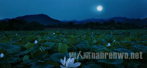 中秋节去哪里玩?最美乡村江西婺源走起!