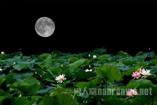 中秋节去哪里玩?最美乡村江西婺源走起!