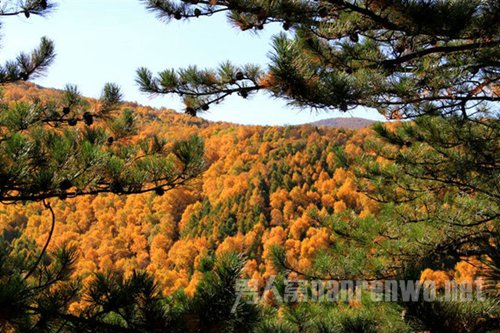 中秋节去哪里玩?雾灵山赏秋景最是精彩