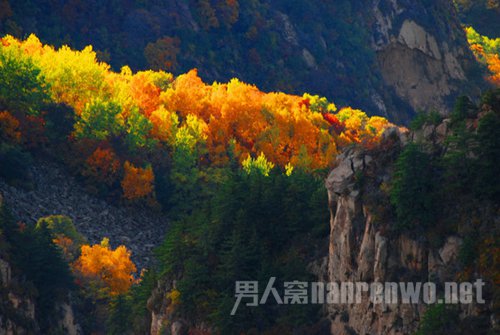 中秋节去哪里玩?雾灵山赏秋景最是精彩