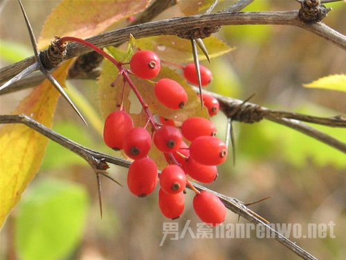 中秋节去哪里玩?雾灵山赏秋景最是精彩