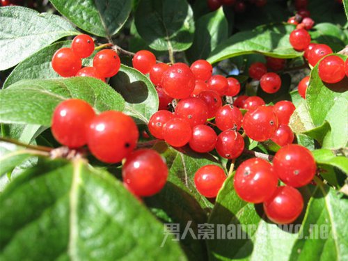 中秋节去哪里玩?雾灵山赏秋景最是精彩