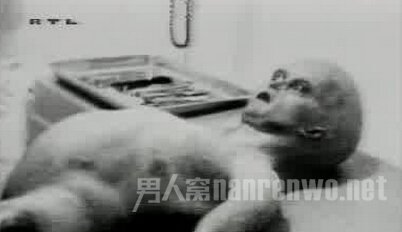 ɵպʬ