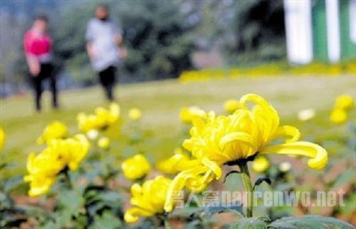 重阳节六大习俗你能做到几样?