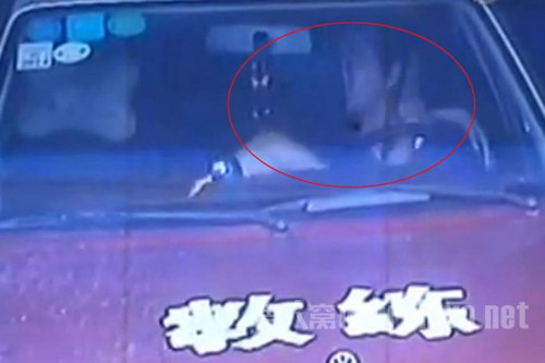 驾校教练与女学员车内激吻画面曝光