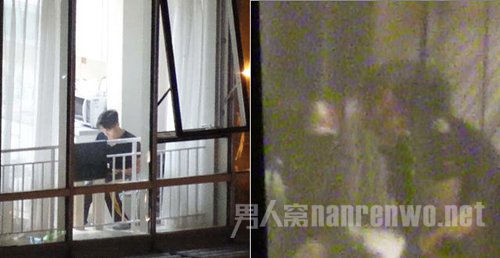 王菲谢霆锋为什么分手12年后又复合?