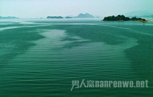 千岛湖森林氧吧