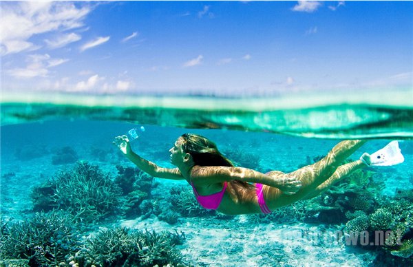 Ư����ˮ�е�����ƿ