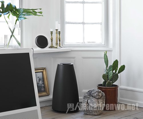 ϵͳBeoPlay S8