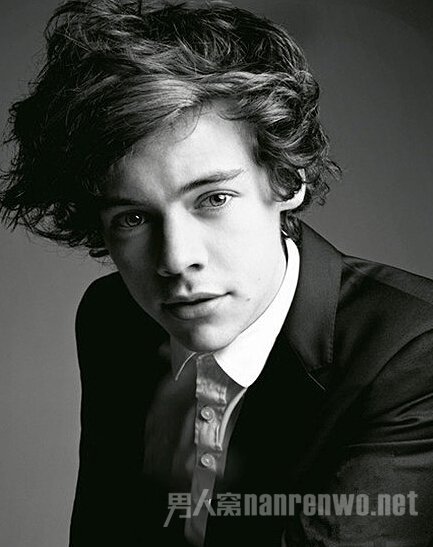 Ӣ׷ One DirectionֶΪǿ֧
