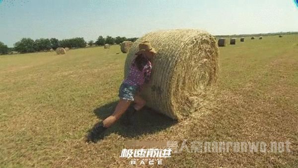 ǰӦɶƲݶ ̾û˲