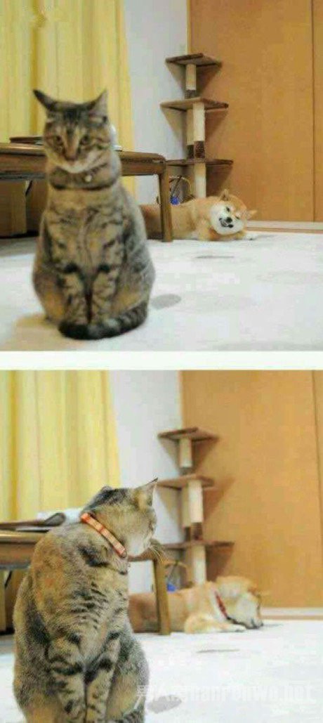 ıЦȤ