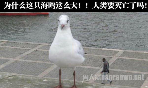 Цͼ²
