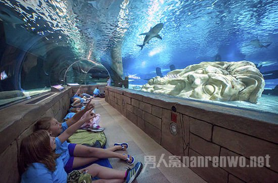 水族馆海底奇妙夜