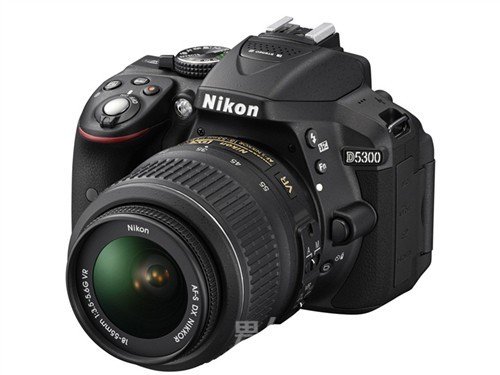 ῵D5300׻4499