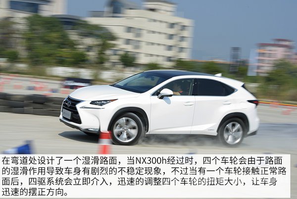 ׿˹nx