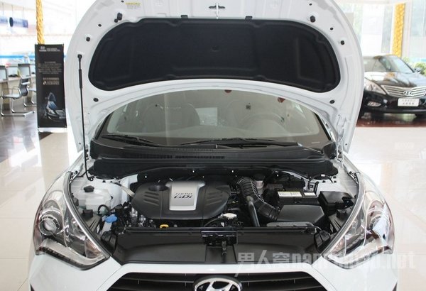 ִ˼Veloster