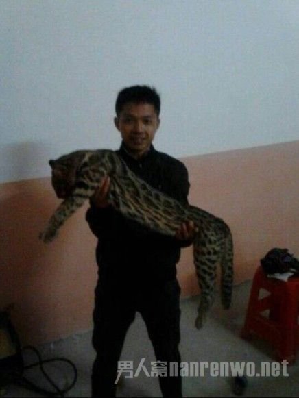 男子炫耀自己捕捉到的豹猫