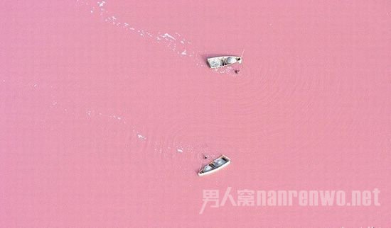 塞内加尔粉红盐湖Retba
