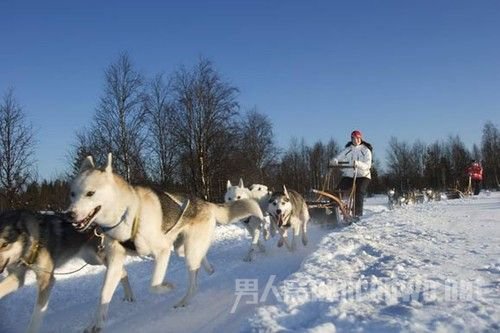 滑雪橇