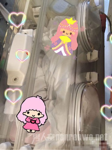 演员甘薇诞下双胞胎女儿