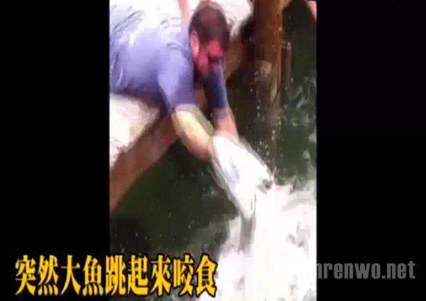 男子岸边钓鱼左手遭鱼吞噬 男子岸边钓鱼左手遭鱼吞噬