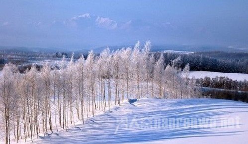 雪景摄影