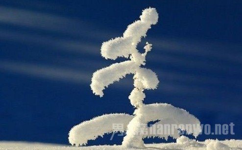 雪景拍摄技巧