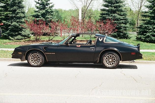 ӵǿ˻ϵTrans Am