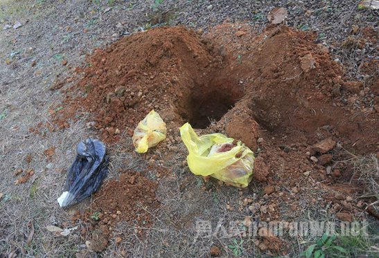 公园10多具死胎