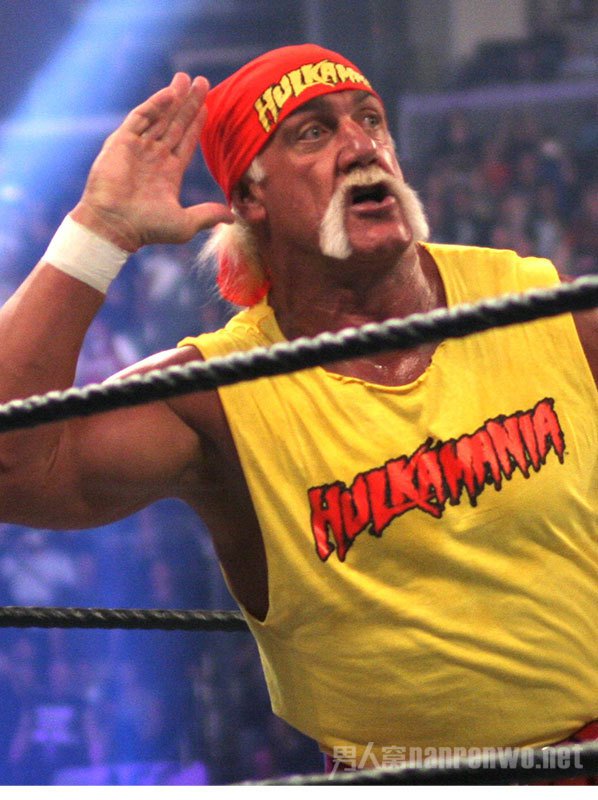 Hulk Hogan