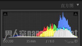 Lightroom色调直方图