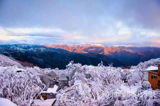澳洲 – 布勒山