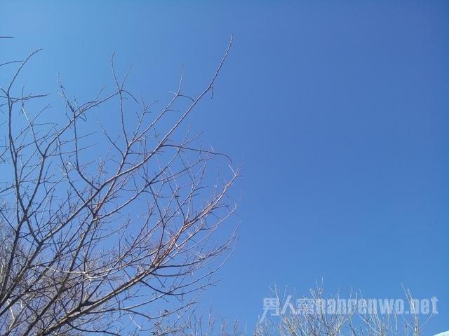 ŵ»3NӰ