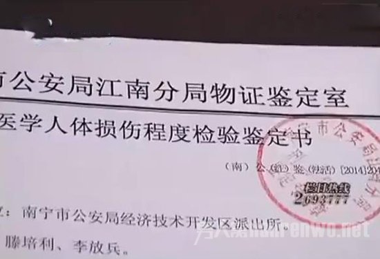 鉴定报告