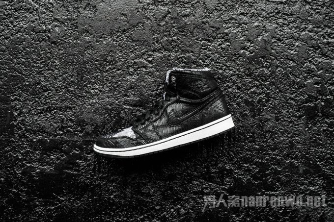 Air Jordan 1 Retro Hi