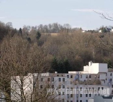 �·�ѧУ����