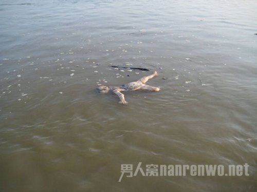 漂浮的尸体