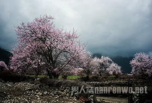 东方美学