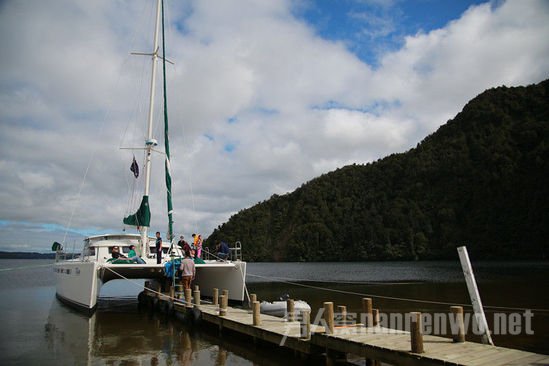 Pure Cruise����