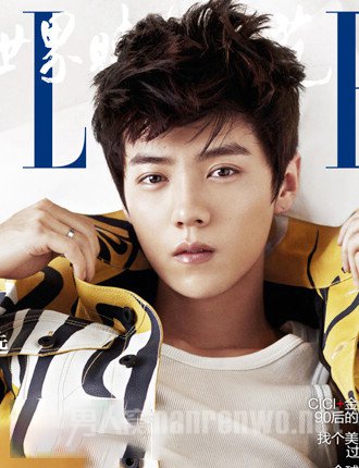¹ɶ̷͵ELLE 2015˽