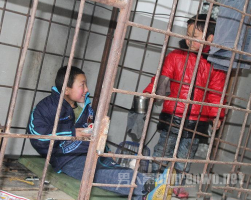 小旺被关在笼子里